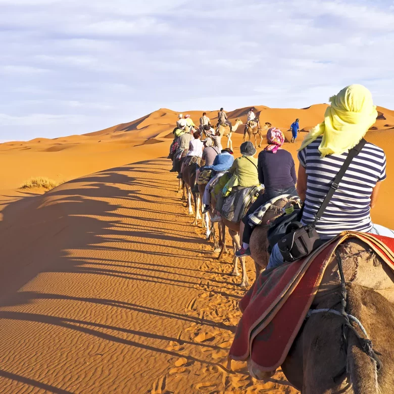 shutterstock_172448144